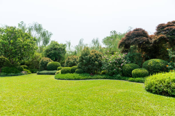 Lavori Giardiniere